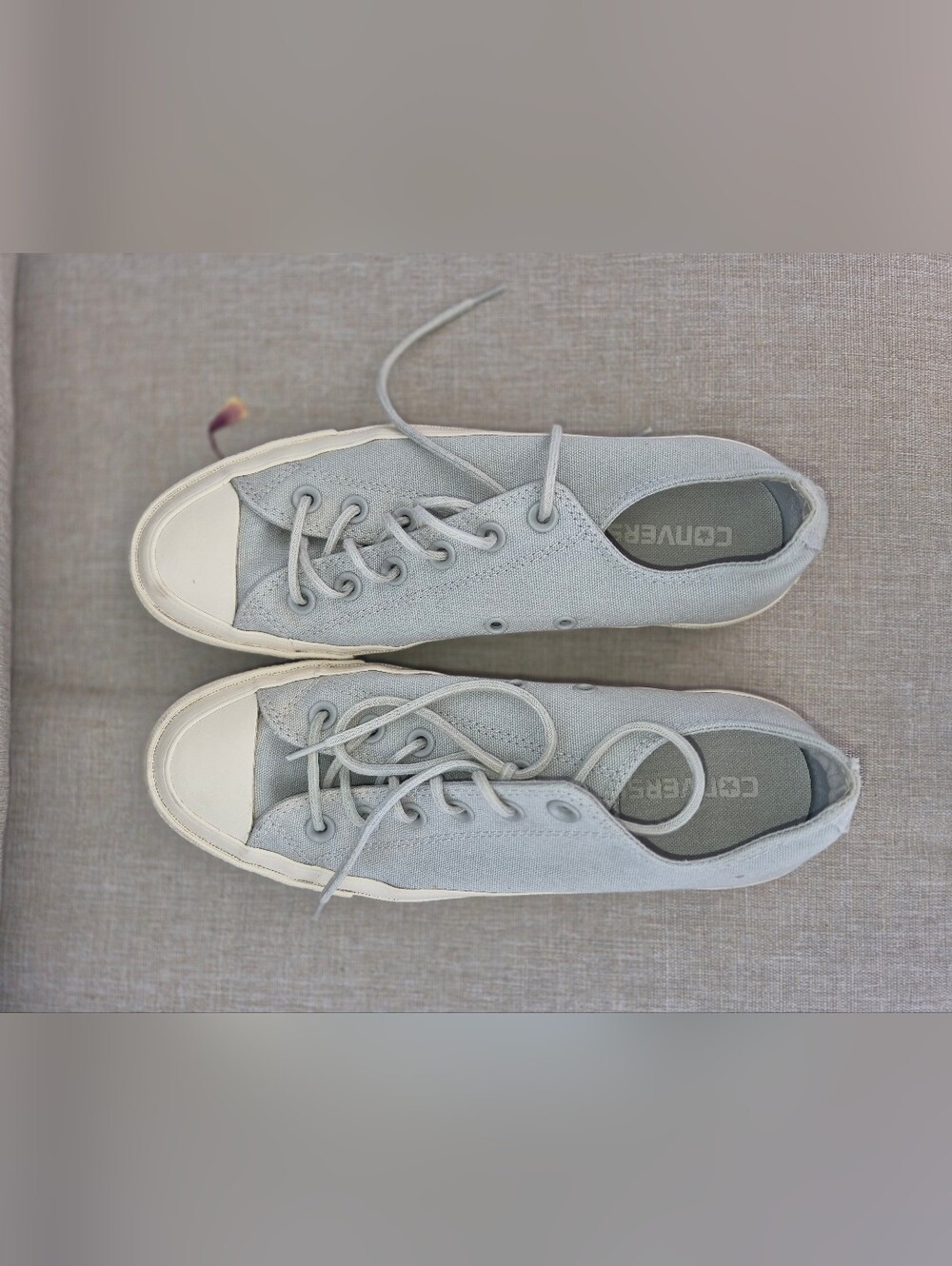 Converse Low Top Sneakers in Pale  Blue Gray